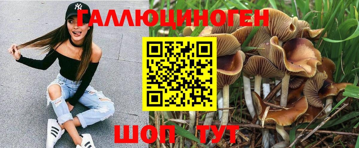 Кулебаки  Псилоцибиновые грибы мухоморы  Вход с VPN 